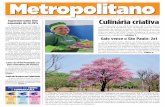 Jornal Metropolitano - Edição 99
