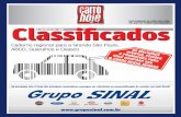 Classificados Carro Hoje - São Paulo (004)