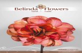 Catalogo Virtual Belinda Flowers