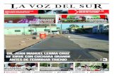 Voz del Sur de Sinaloa Vol. LIV