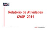 Relatório de Atividades CVSP 2011