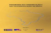 PANORAMA DA COMUNICAÇÃO E DASTELECOMUNICAÇÕES NO BRASIL VOLUME 2