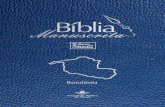 Bíblia Manuscrita - RO - Volume 3