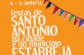 Festas de Santo António, da Cidade e do Município de Estarreja 2014
