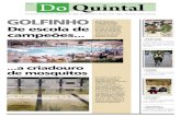 3ª Edição - Jornal Do Quintal