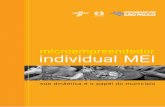Microempreendedor individual - MEI: sua dinâmica e o papel do município