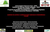 Apresentação CENTRO DE APOIO A AGRICULTURA URBANA E PERIURBANA  ( slides )