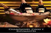 Catálogo Champagne Cavas Espumantes
