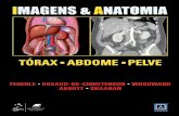 Federle | Imagens & Anatomia Torax, Abdome e Pelve