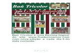 Baú Tricolor 11