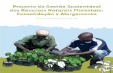 Projecto de Gestão Sustentável dos Recursos Naturais Florestais: Consolidação e Alargamento (PGSRN)