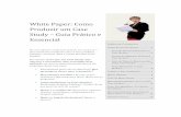 White Paper: Como Produzir um Case Study – Guia Prático e Essencial
