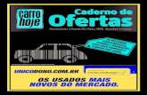 Classificados Carro Hoje - São Paulo (042)