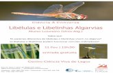 Libélulas e Libelinhas do Algarve | Ciência À Conversa