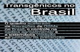 Transgnicos no Brasil