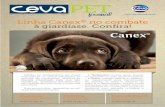 Ceva Pet Journal | ED. IV - Canex Premium