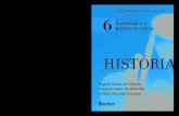 A Reflexão e a Prática no Ensino - Volume 6 - História