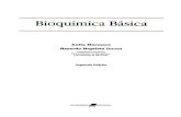 Livro bioquímica básica anita