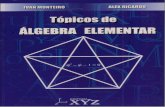 Tópicos de Álgebra Elementar - Ivan Monteiro e Alex Ricardo