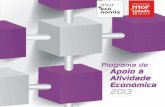 Programa de Apoio Atividade Económica 2013