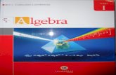 Álgebra (para IME ITA) - Volume 1 - Nova Edição 2011