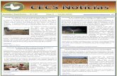 CECS Notícias - Nº 07 Ano 02