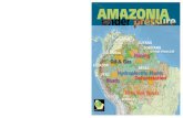 Amazonia Under Pressure