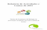 Relatório de Actividades e Contas NEB 2011