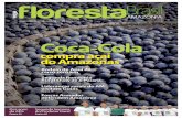 Revista Floresta Brasil Amazônia – 06