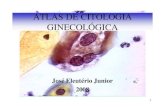 Atlas de Citologia Ginecológica