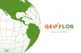 Atualização Logo Geoflor