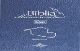 Bíblia Manuscrita - RO - Volume 4