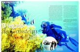 O legado de Cousteau