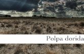 Letras Galegas 2014: Polpa dorida