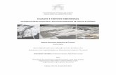 Cities and Waterfronts | Cidades e frentes ribeirinhas | Master thesis of Raquel Fonseca