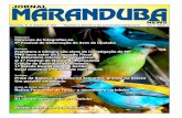 Jornal Maranduba News #14