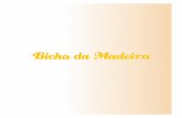 Catálogo Bicho da Madeira para o Brasil