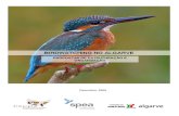 Estudo Birdwatching Algarve - Relatório Final