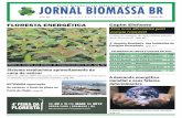 Jornal Brasileiro das Indústrias de Biomassa Ed 02