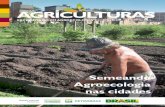 Revista Agriculturas V9N2 - Semeando Agroecologia nas cidades