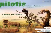 Revista Pilotis 12
