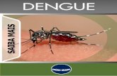 Saiba Mais - Dengue