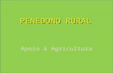 Regulamento Municipal de Apoio a Agricultura