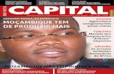 revista capital fevereiro 2011