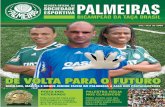 Revista Digital do Palmeiras nº3