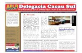 Boletim Informativo da Rede Municipal - Delegacia Cacau Sul