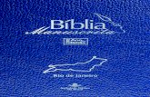 Bíblia Manuscrita - RJ - Volume 8