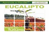 Cartilha Eucalipto.pdf
