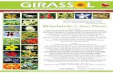 Girassol — Boletim Informativo nº 15 — Verão de 2013