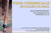 PINE CHEMICALS - Situação Global